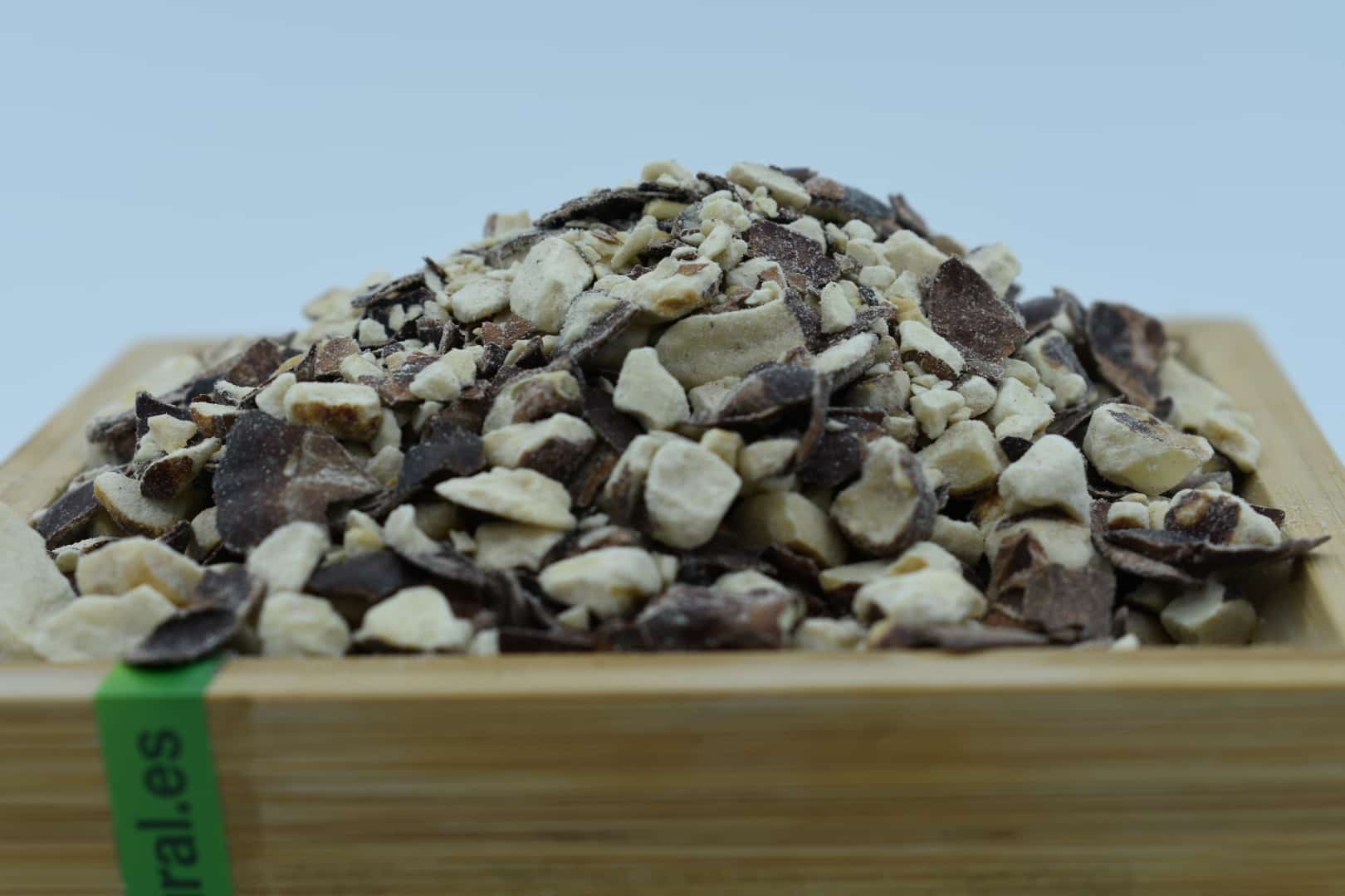 castaño de indias-min (3)