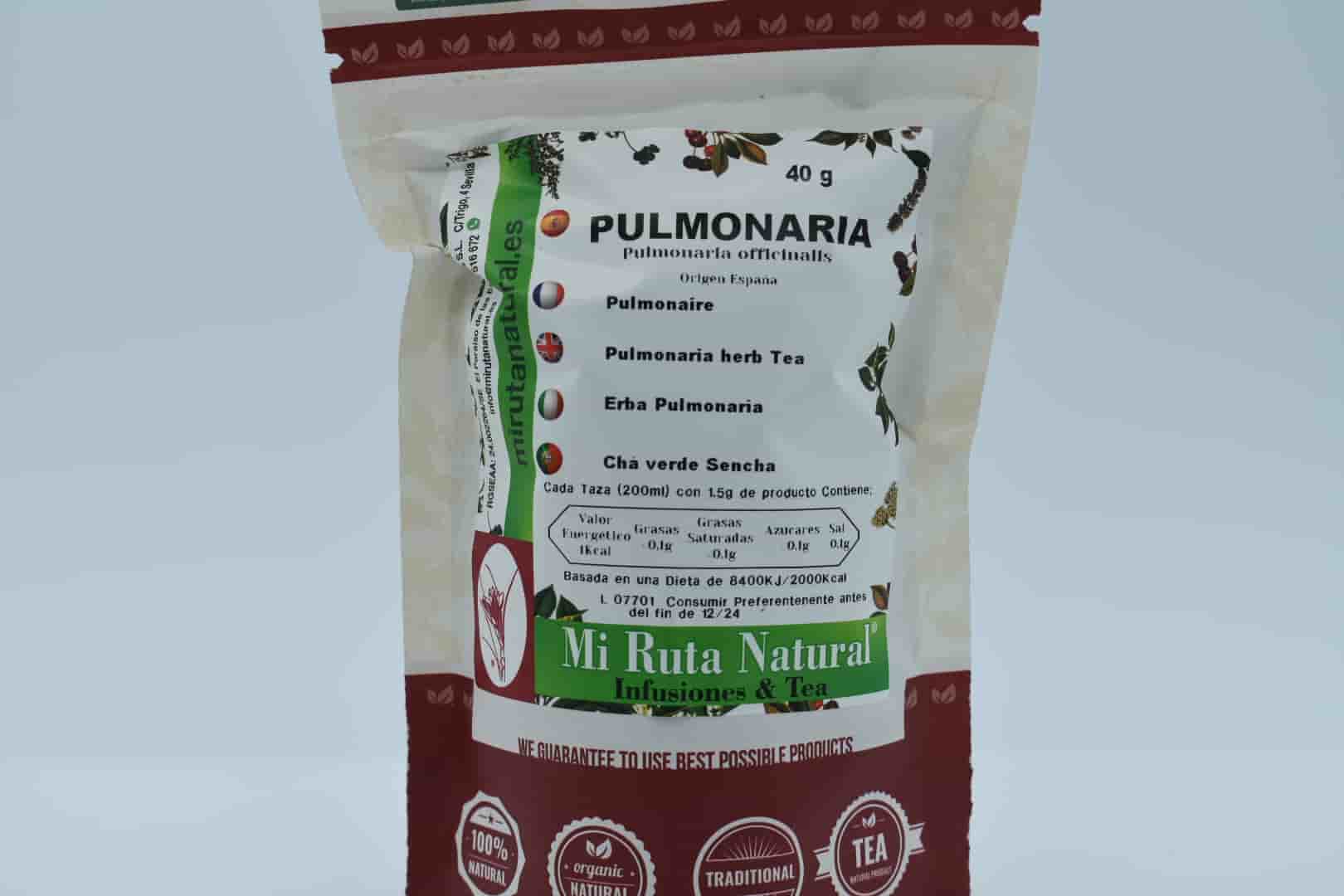 pulmonaria (4)-min