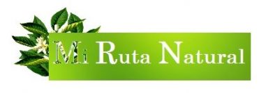 Tu Tienda Especializada de Infusiones