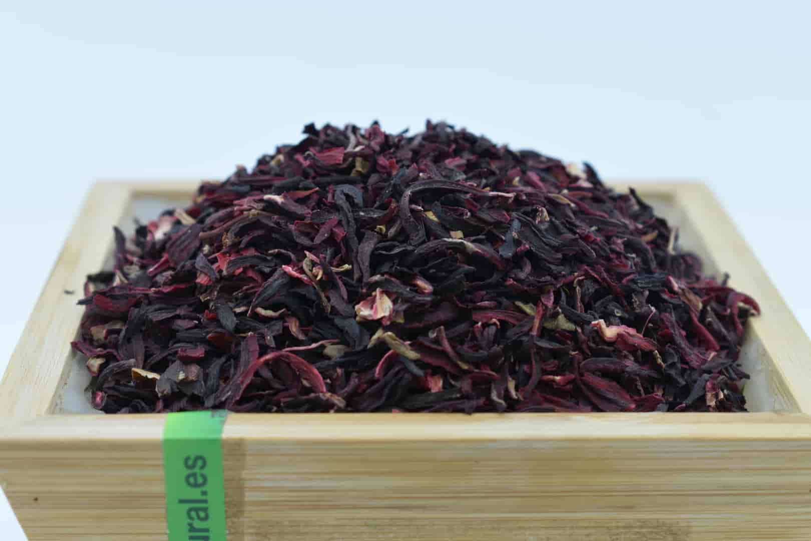 hibisco flor (1)-min