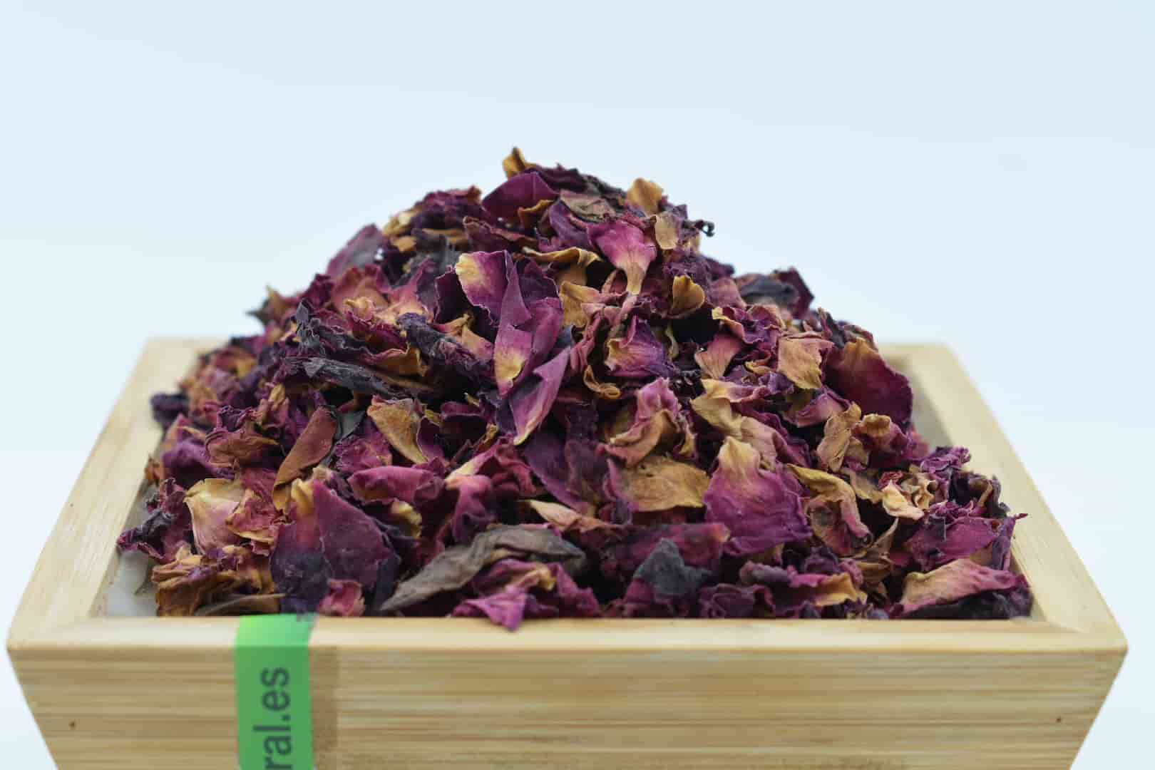 petalos de rosa (2)-min