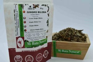 gingko biloba Mi Ruta Natural