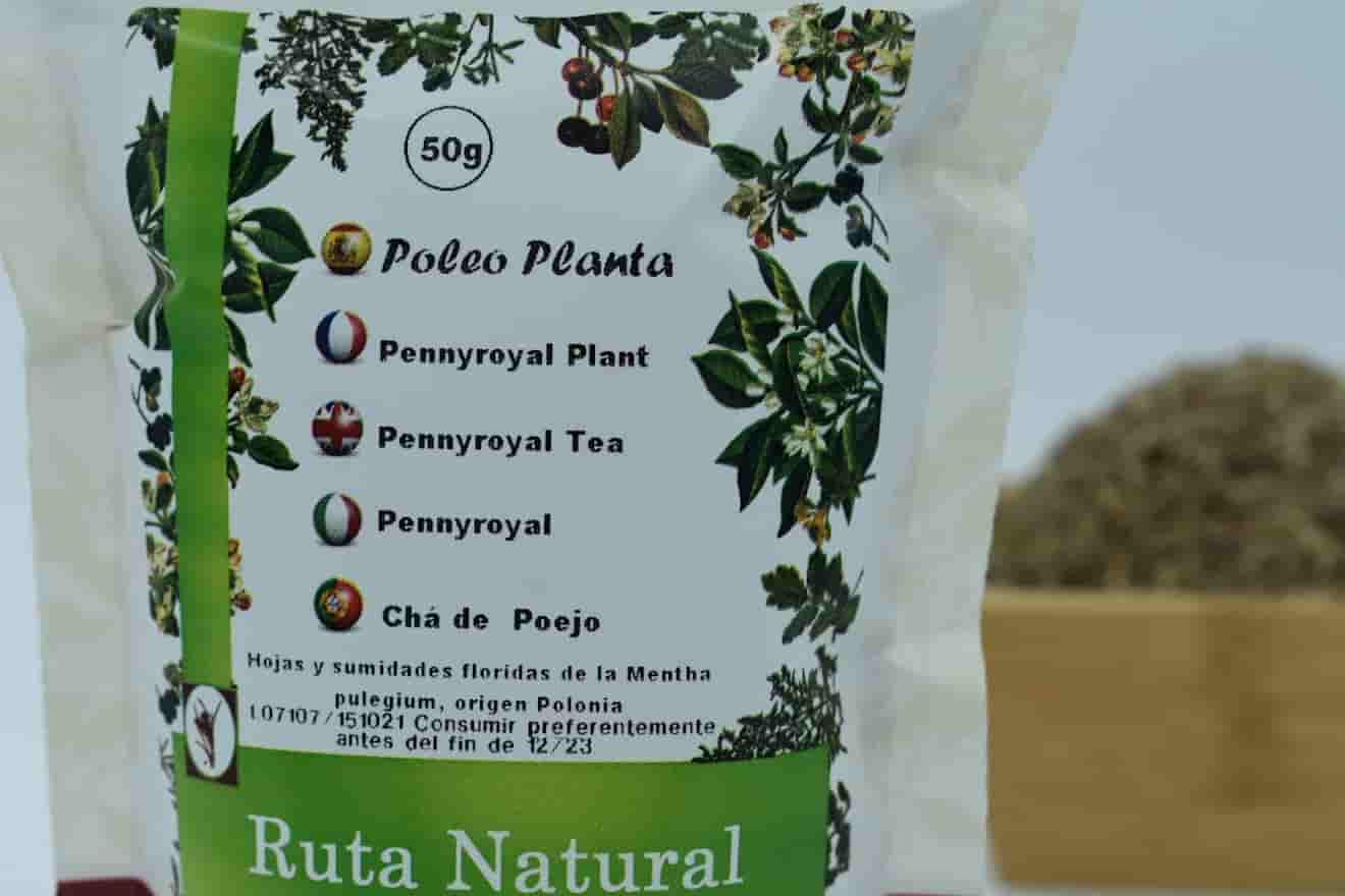 poleo.jpg3-min