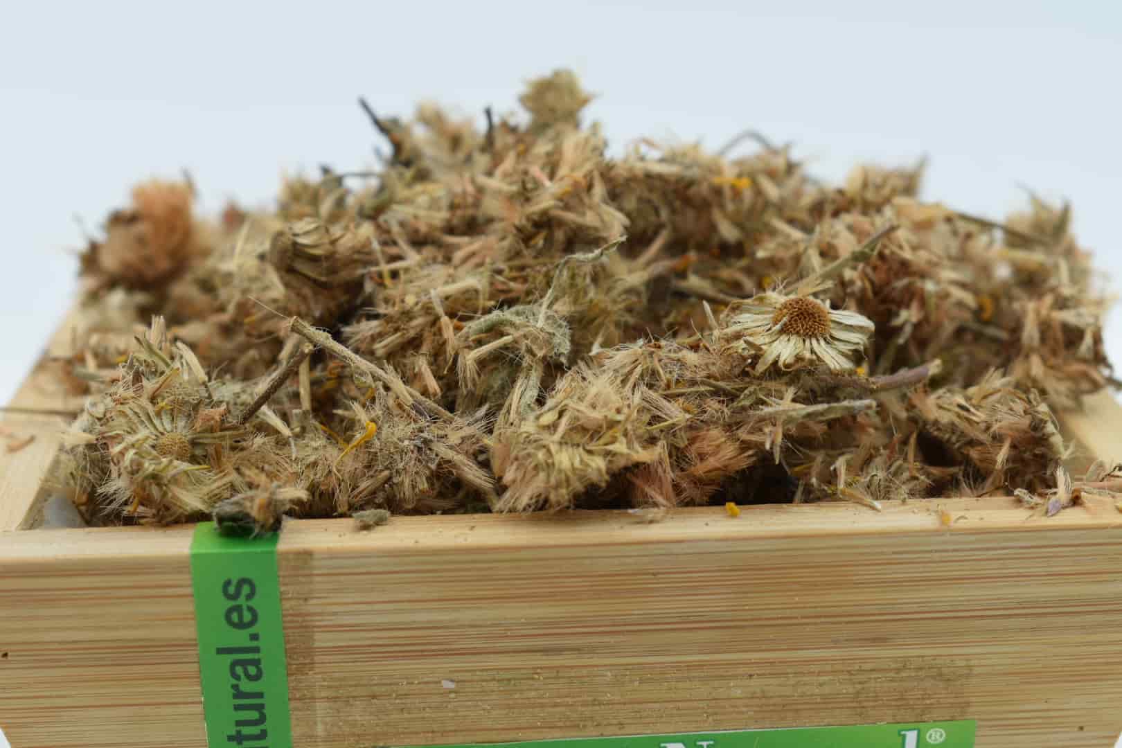arnica flor (5)-min