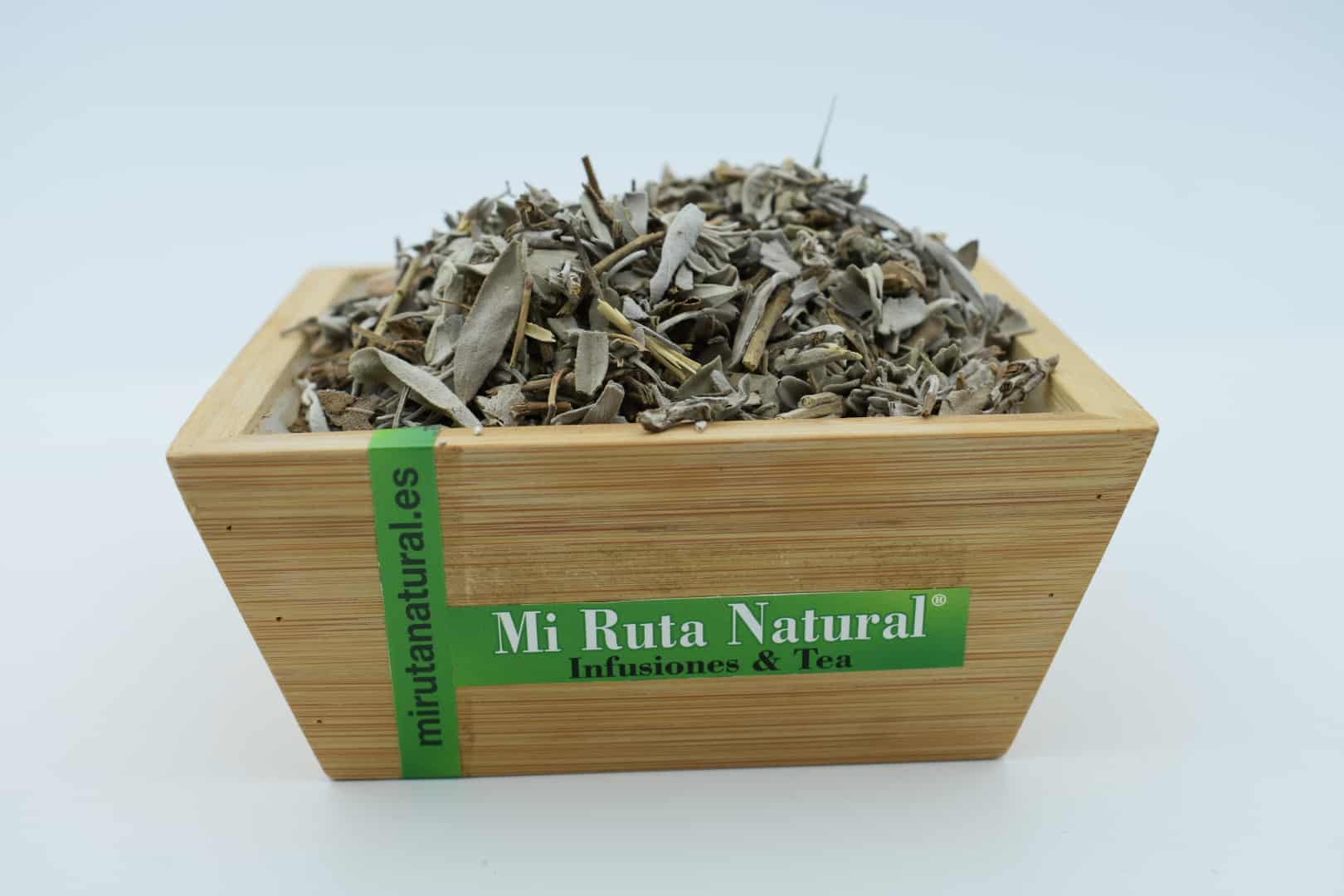salvia hojas (4)-min