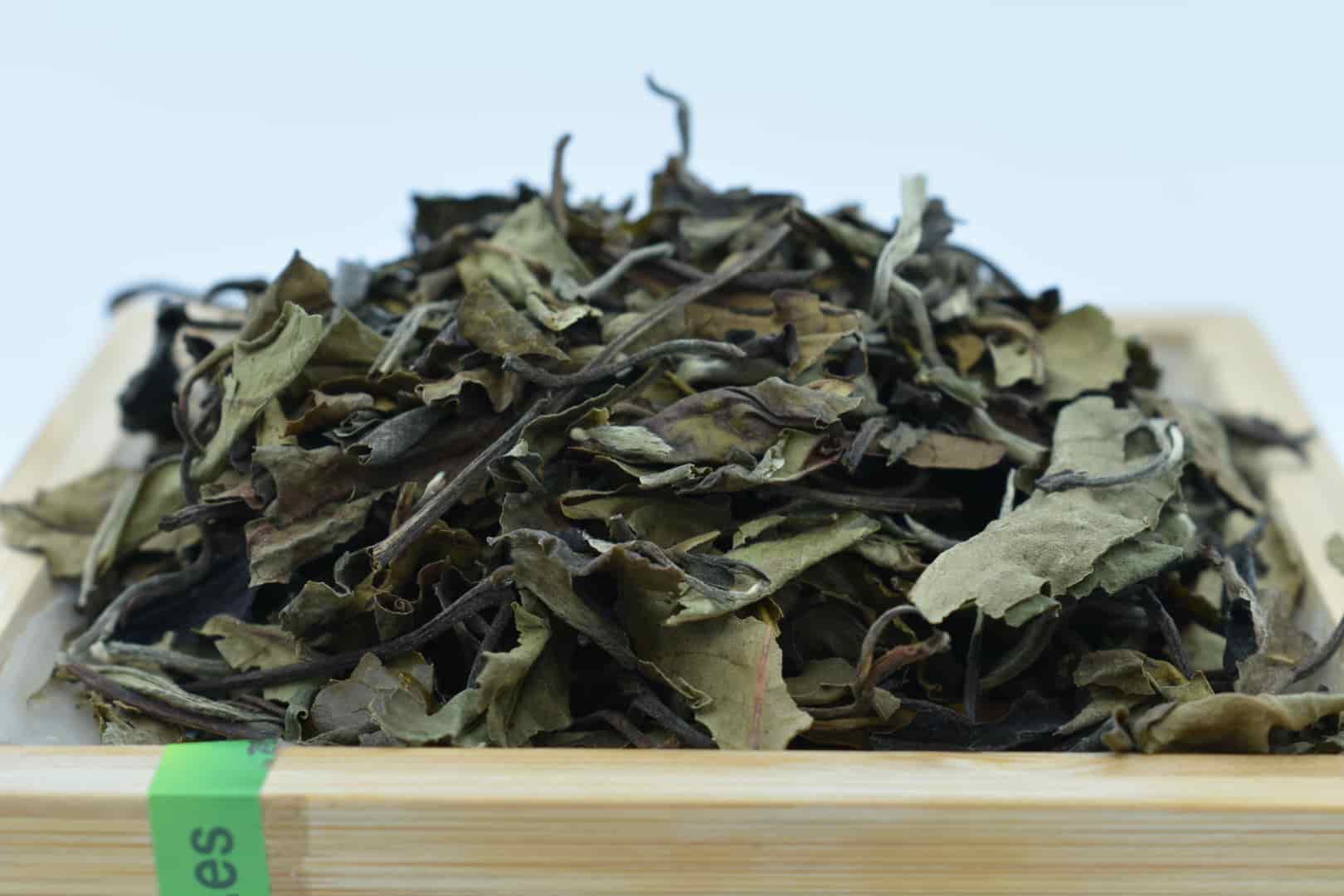 te blanco pai mu tan (4)-min